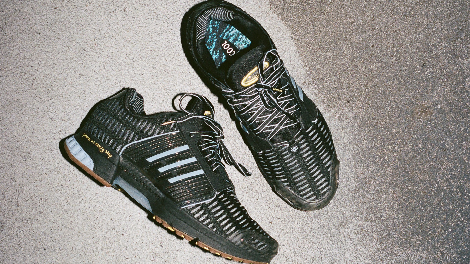 Always Do What You Should Do x adidas Climacool 1 on concrete