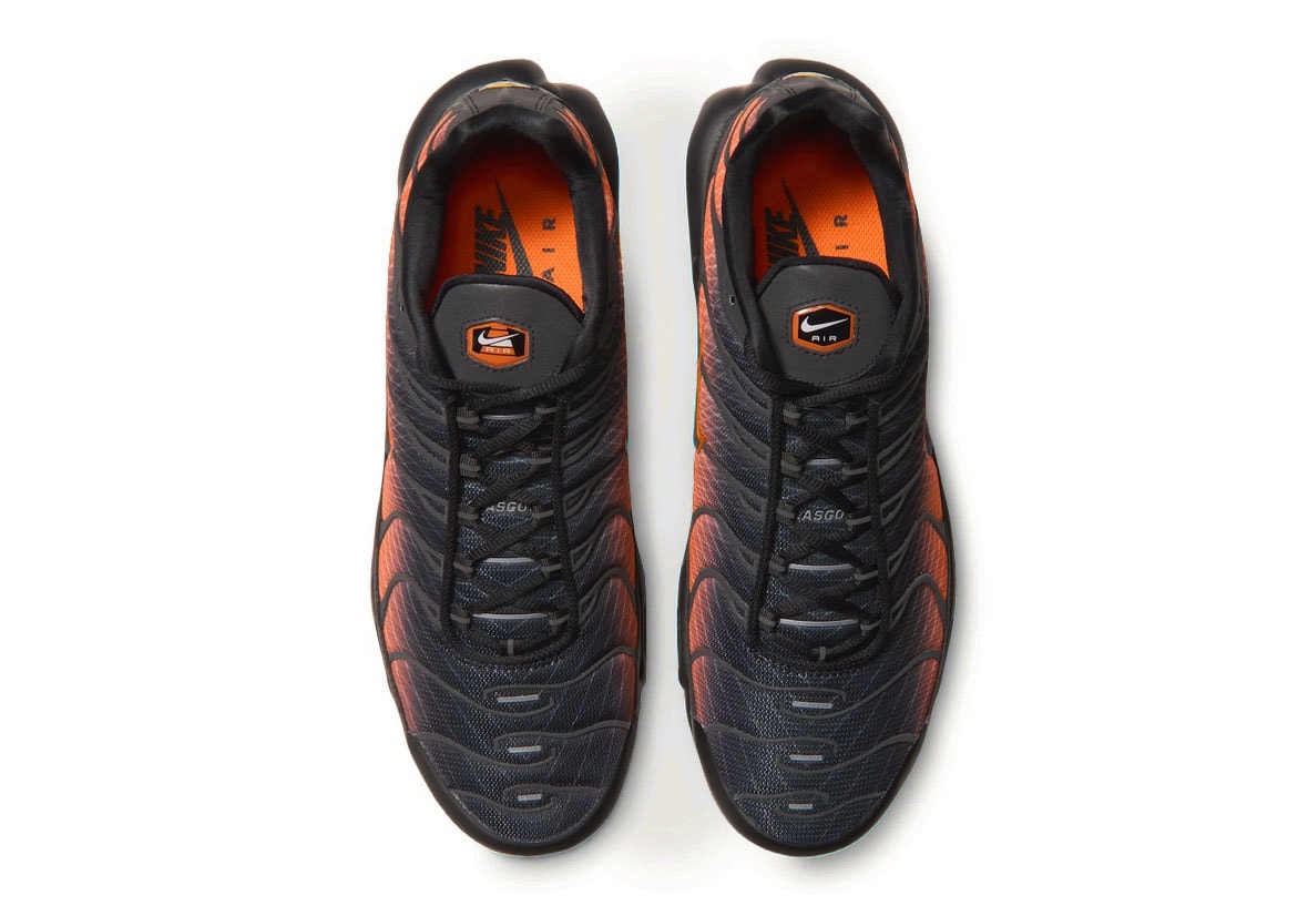 Nike Air Max Plus 'Glasgow' from above