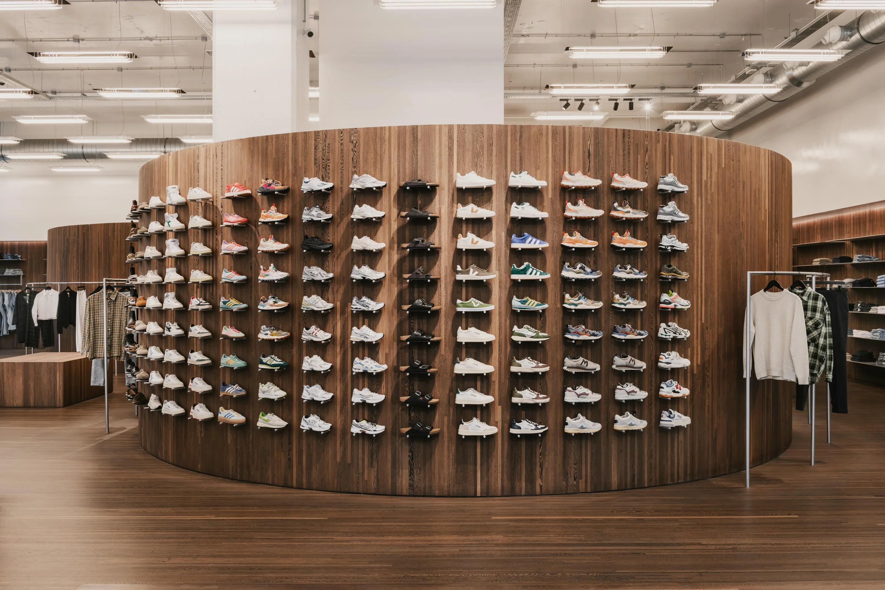 bellerose antwerp