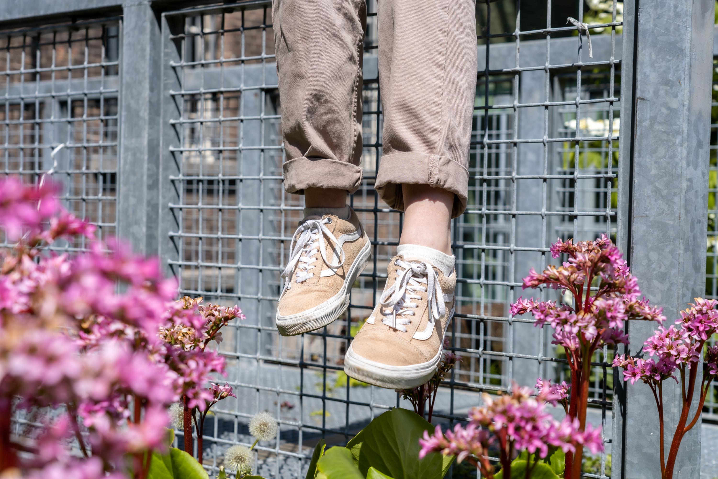 Vans Old Skool 