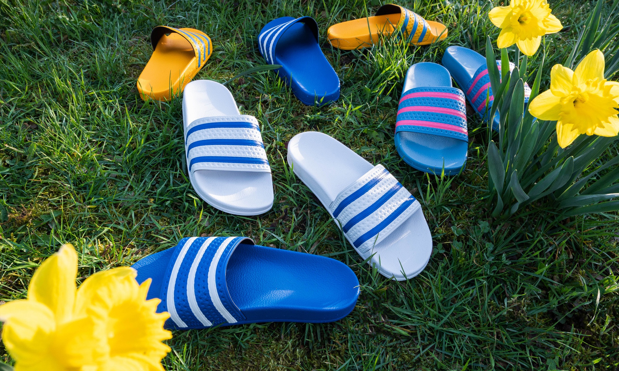 Adiletten von adidas