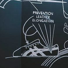Onitsuka Tiger Stripes 