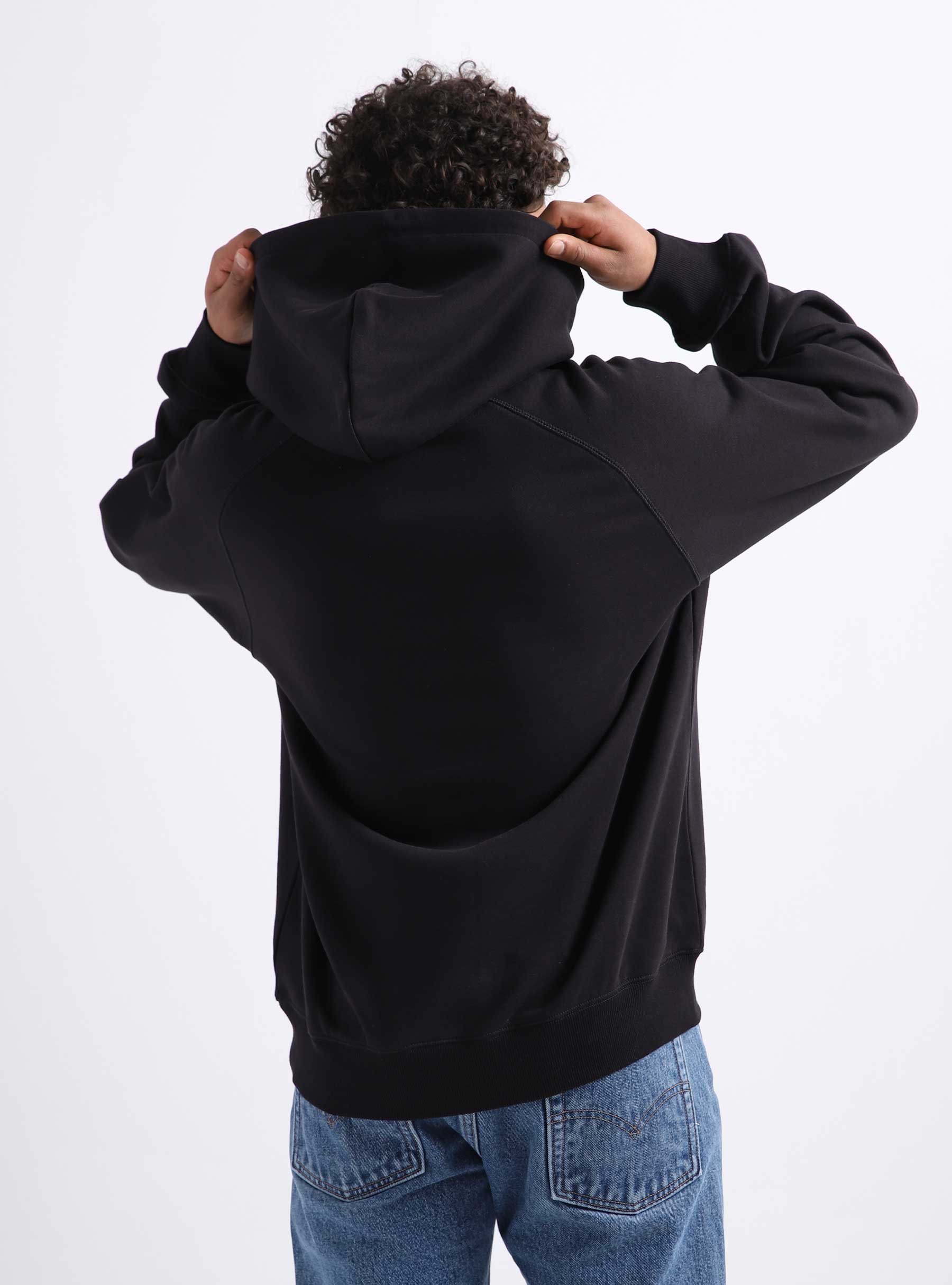 Carhartt WIP Antleaf Hoodie