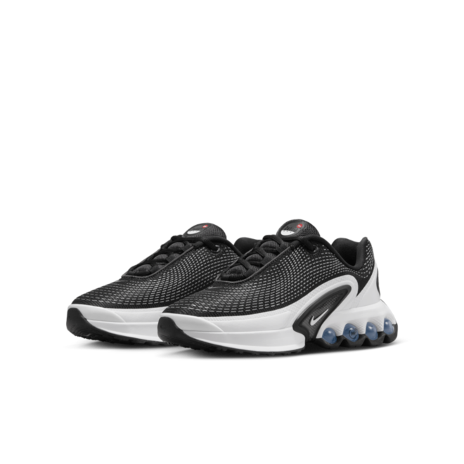 Nike Air Max DN GS 'Panda' FB8987-003