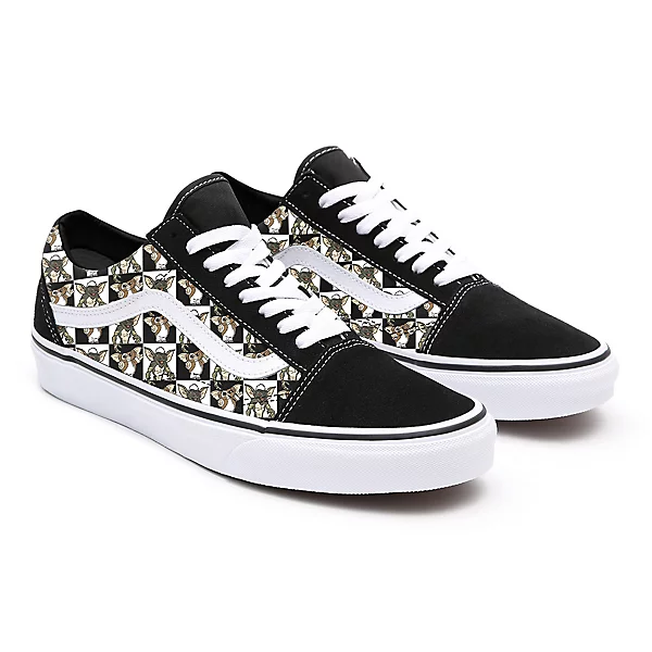 custom vans