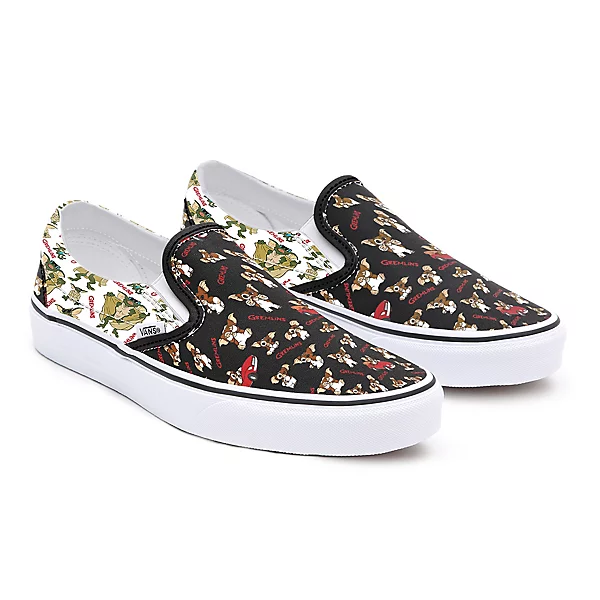 custom vans