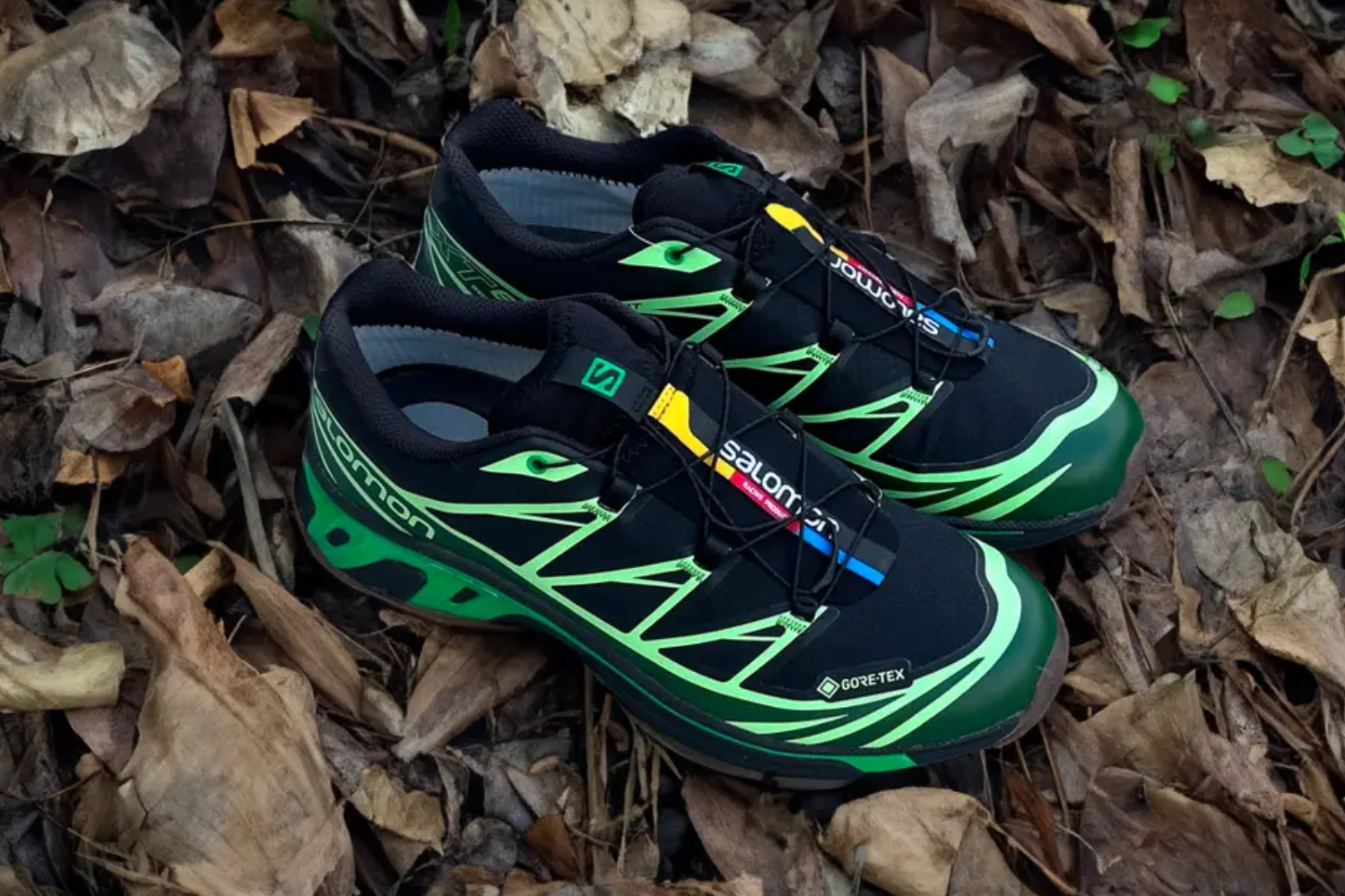 green and black salomon xt-6 gore-tex