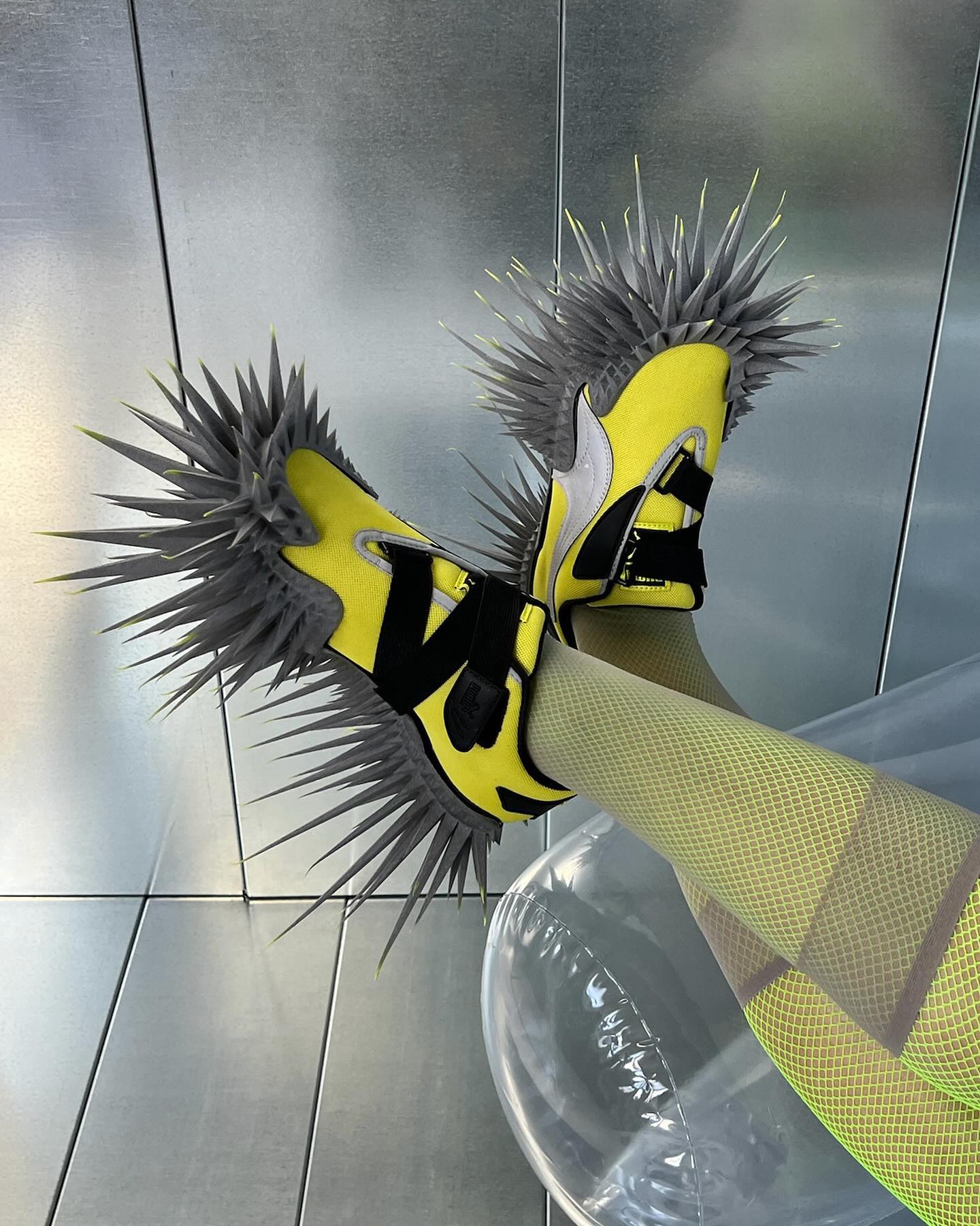 Studio HAGEL PUMA Mostro