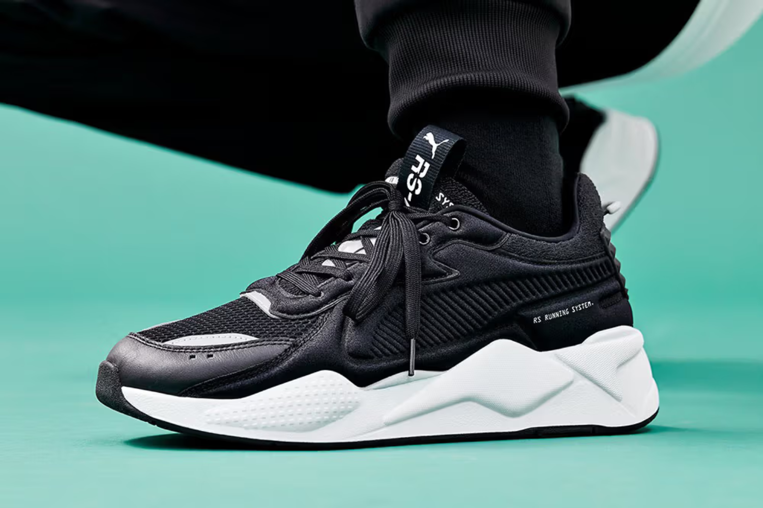 rs-x soft
