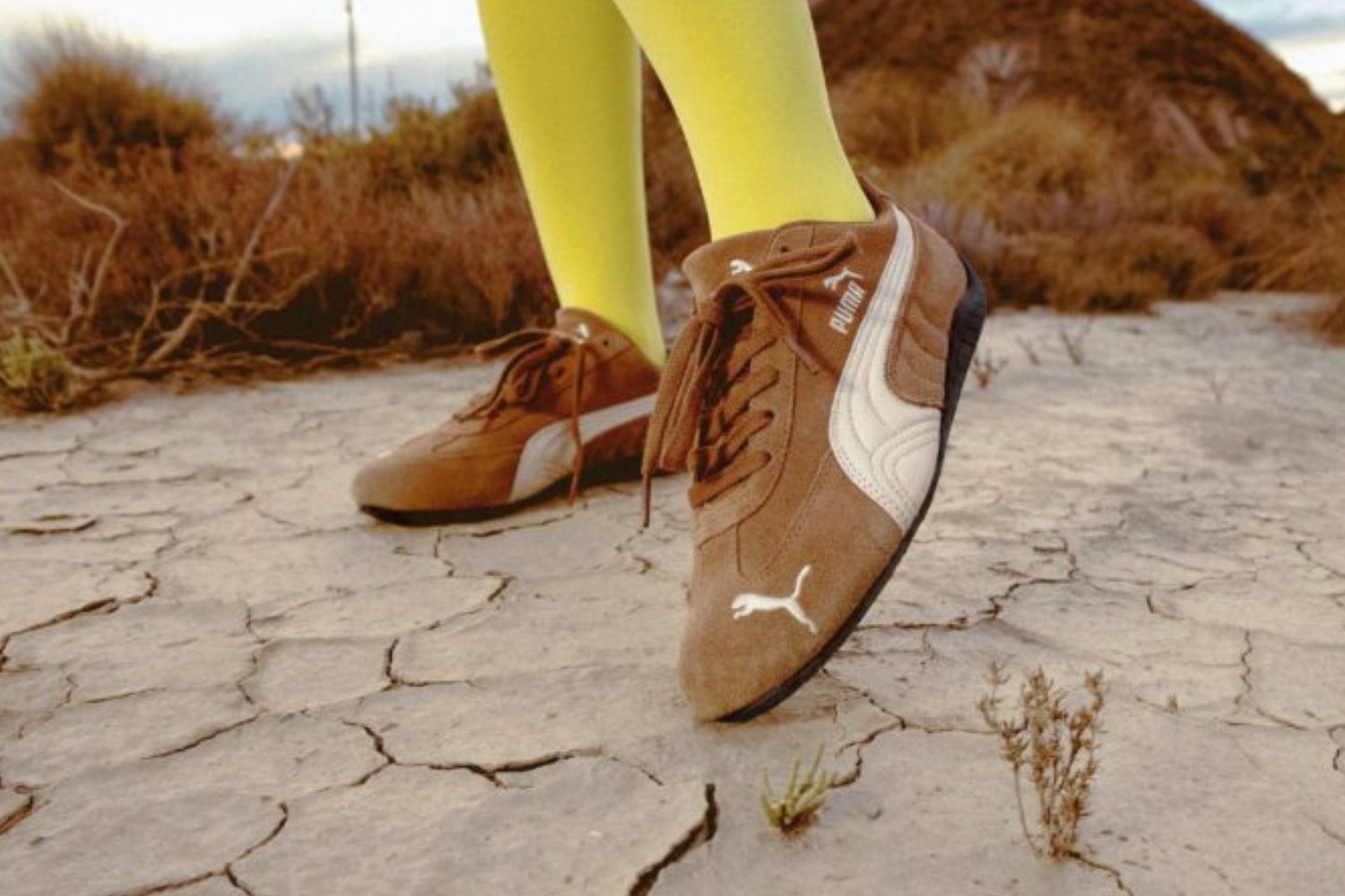 brown puma speedcat