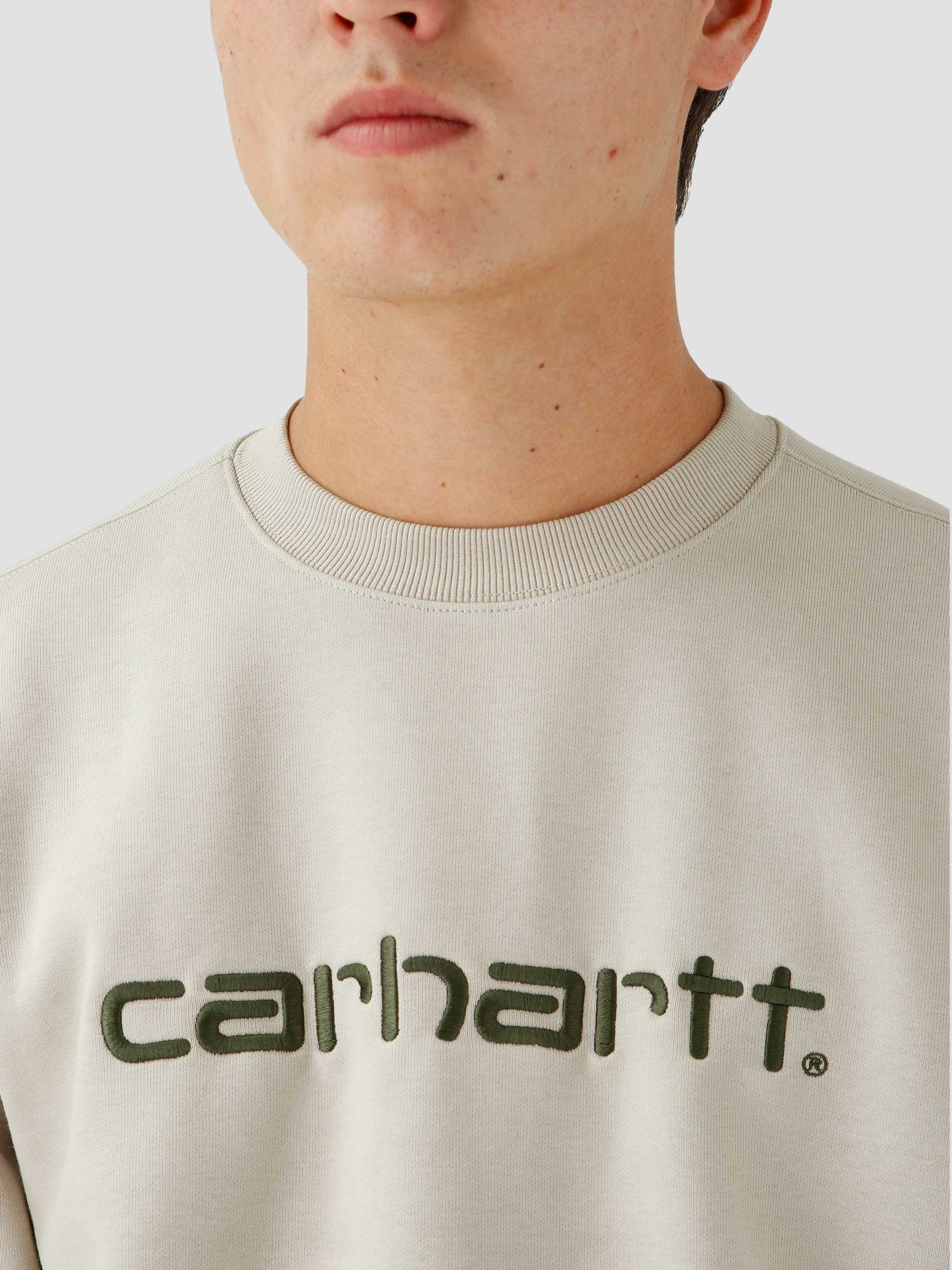 Carhartt Sweater Wall Cypress