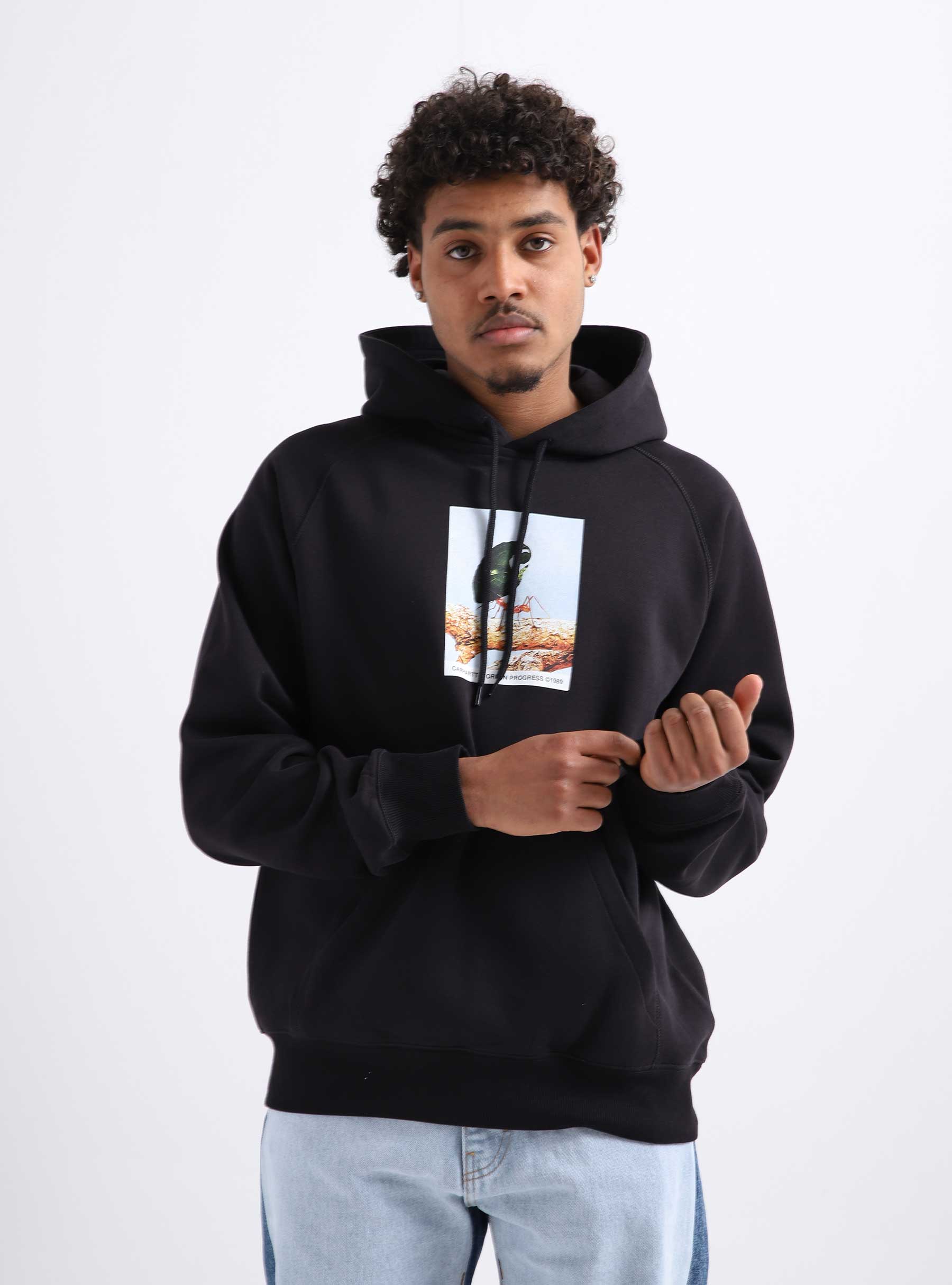 Carhartt WIP Antleaf Hoodie