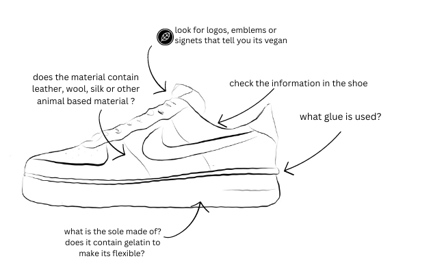 illustration Sneaker 