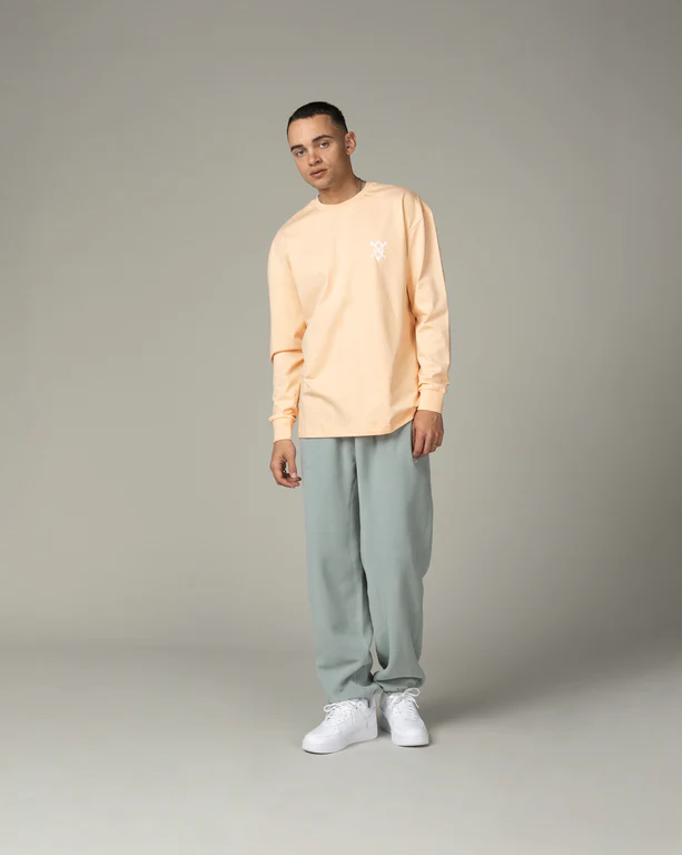NIKE ACG WOLF TREE PANT