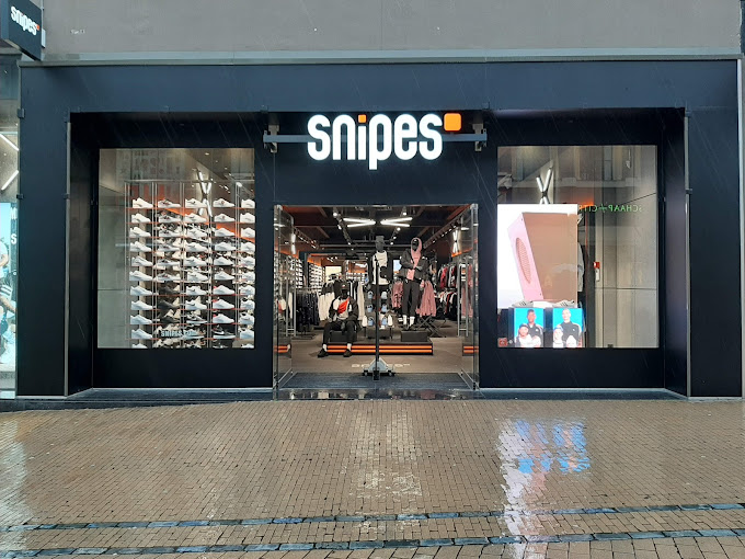 Snipes in Groningen