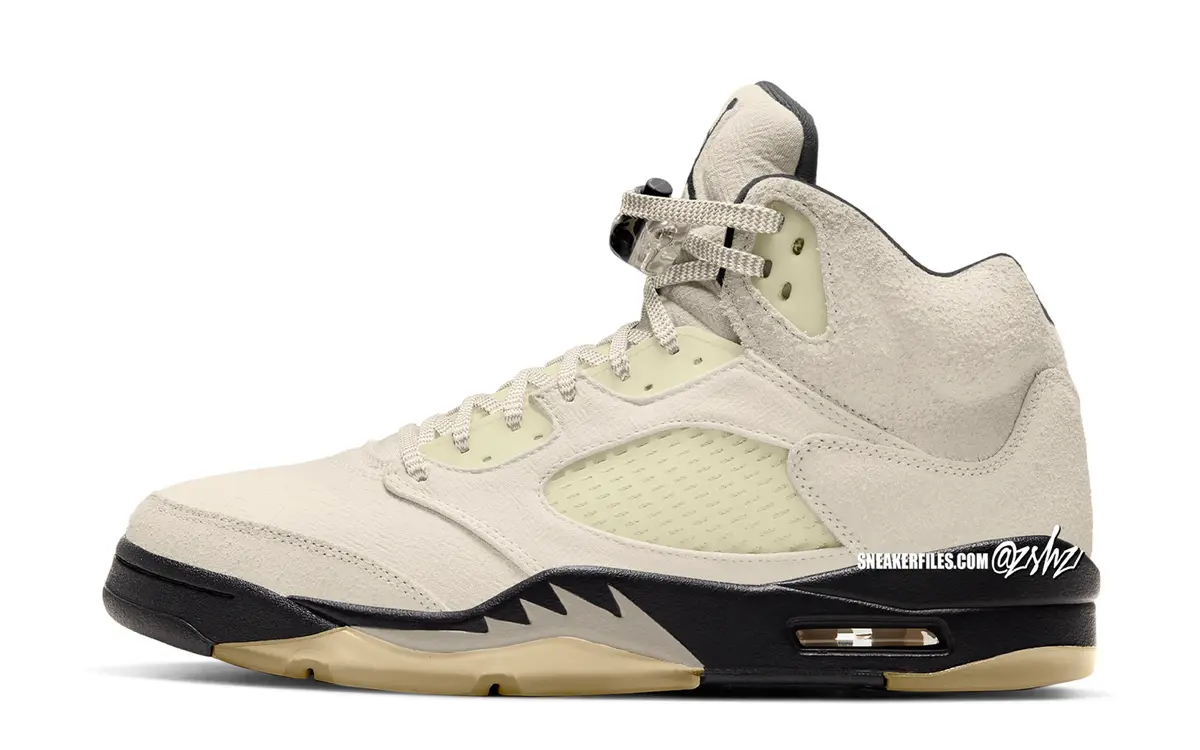 Air Jordan 5 SE