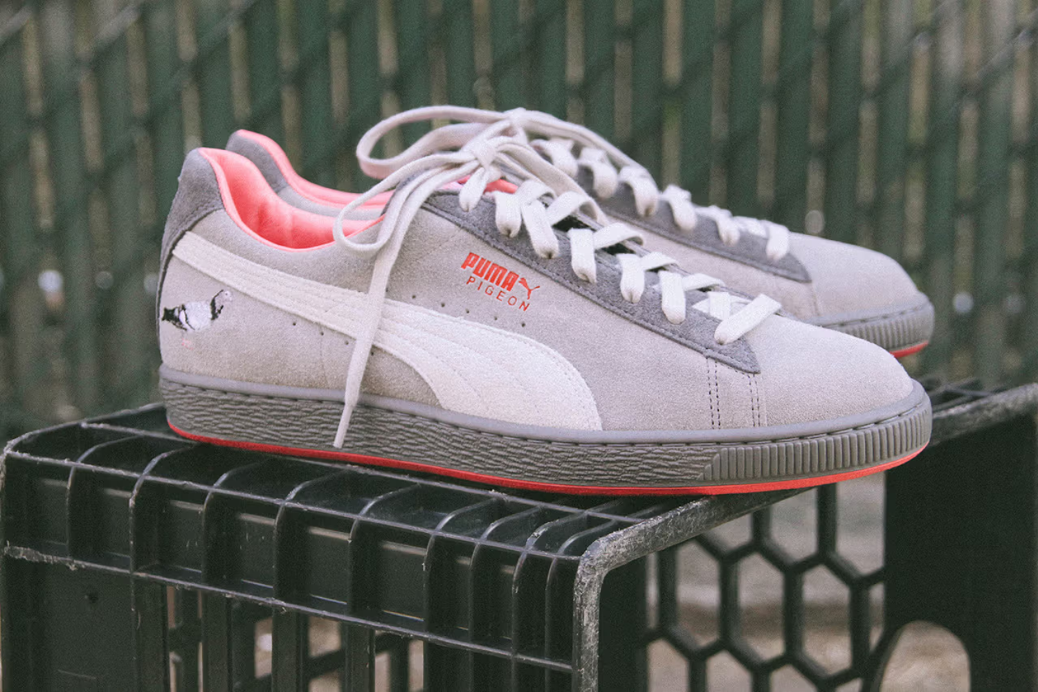 staple puma suede pigeon