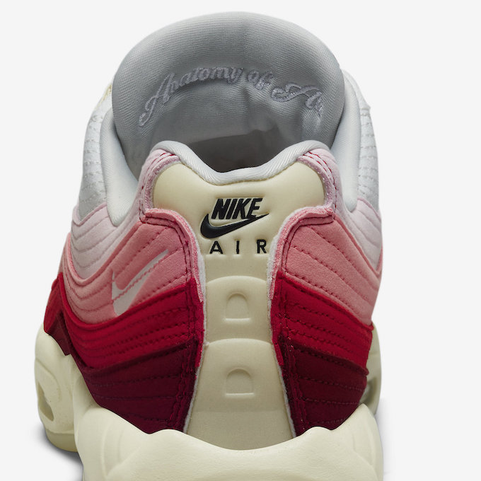 Nike Air Max 95 Anatomy of Air