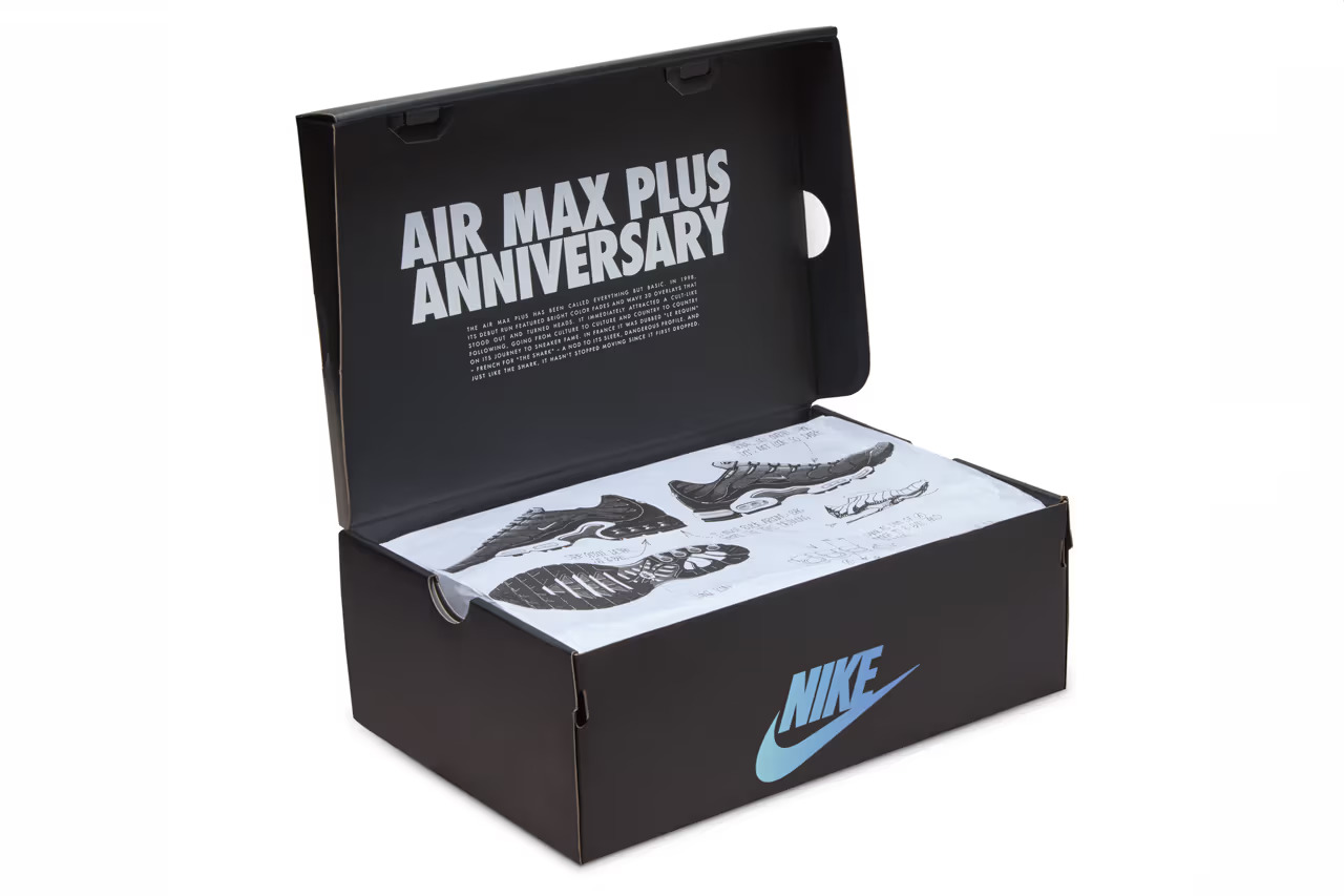 FV0393-001 NIKE TN