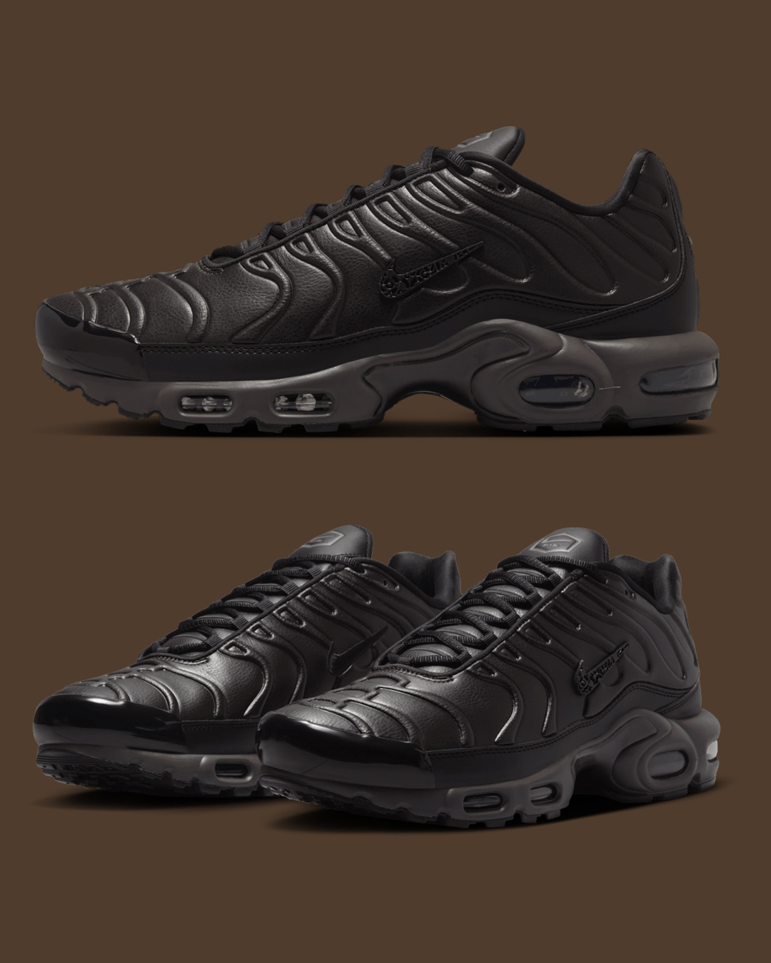 Nike Air Max Plus 'Black Tea' (HJ4519-200)