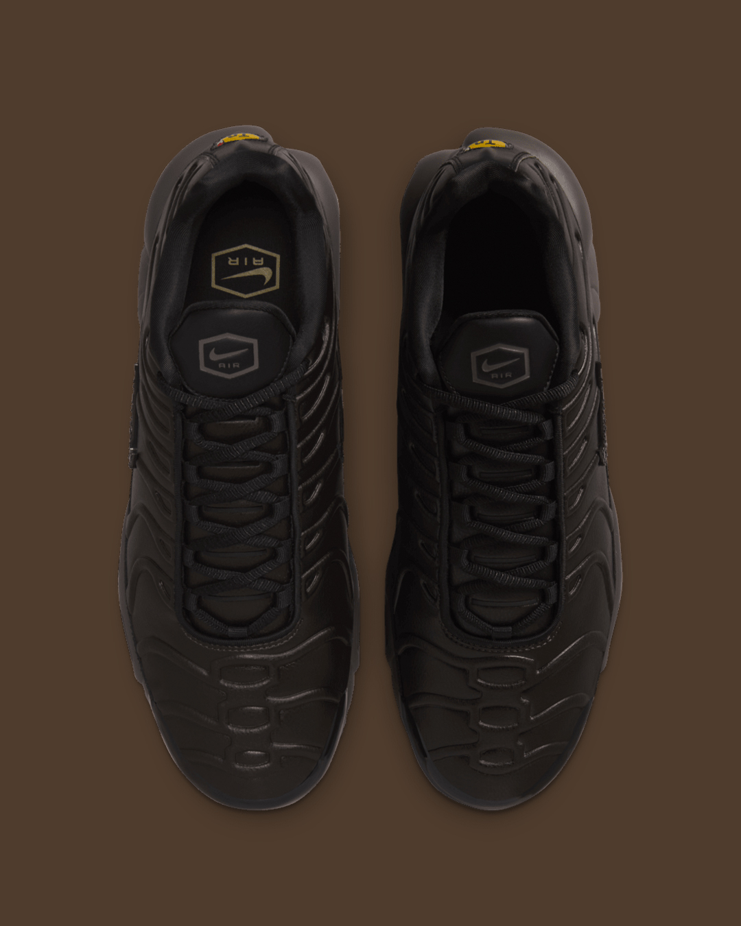 Nike Air Max Plus 'Black Tea' (HJ4519-200)