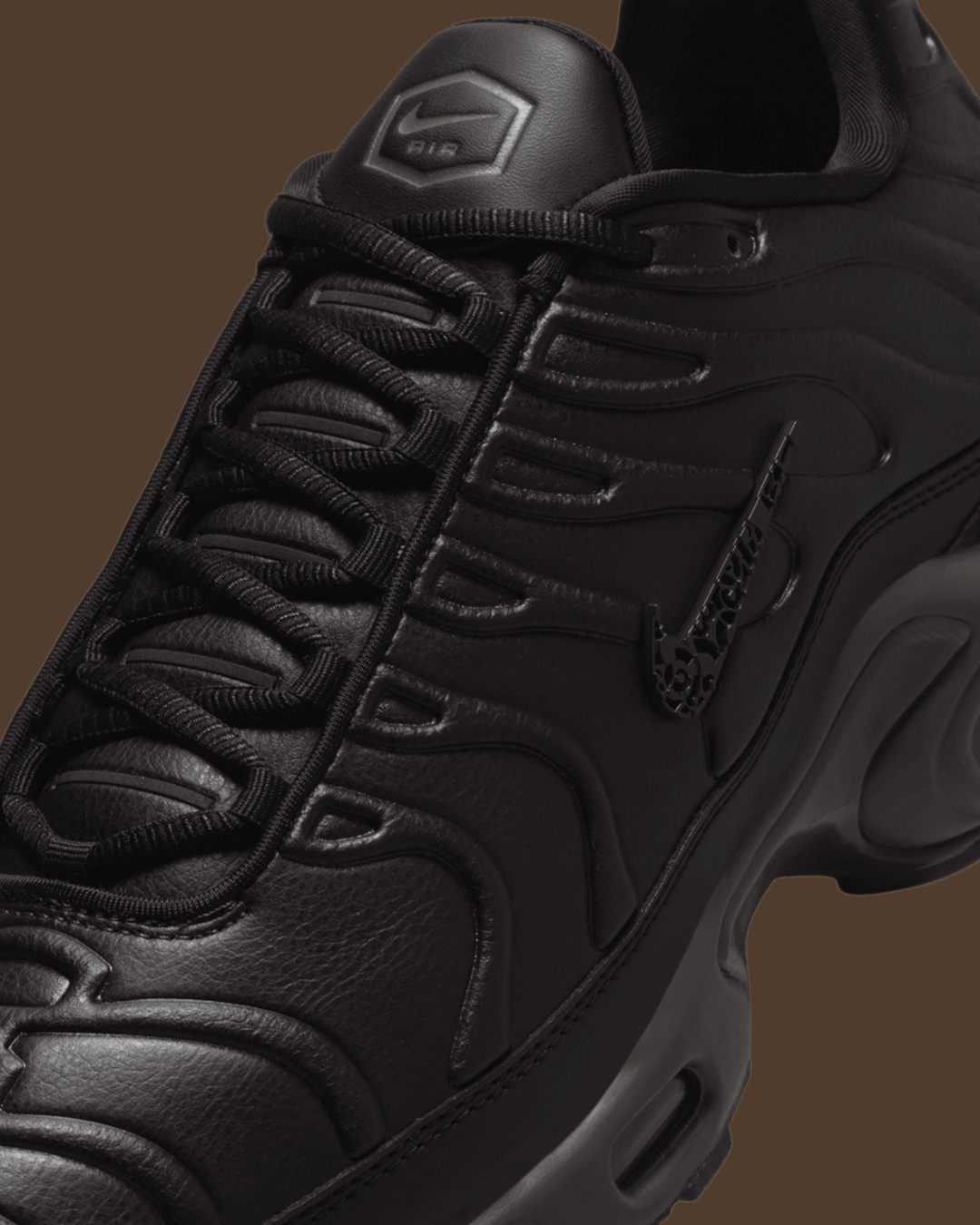 Nike Air Max Plus 'Black Tea' (HJ4519-200)