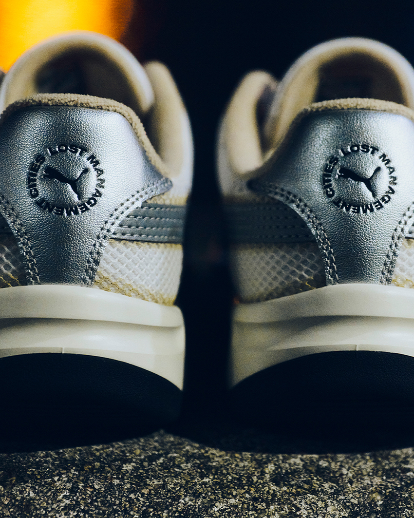 PUMA Lost Management Cities