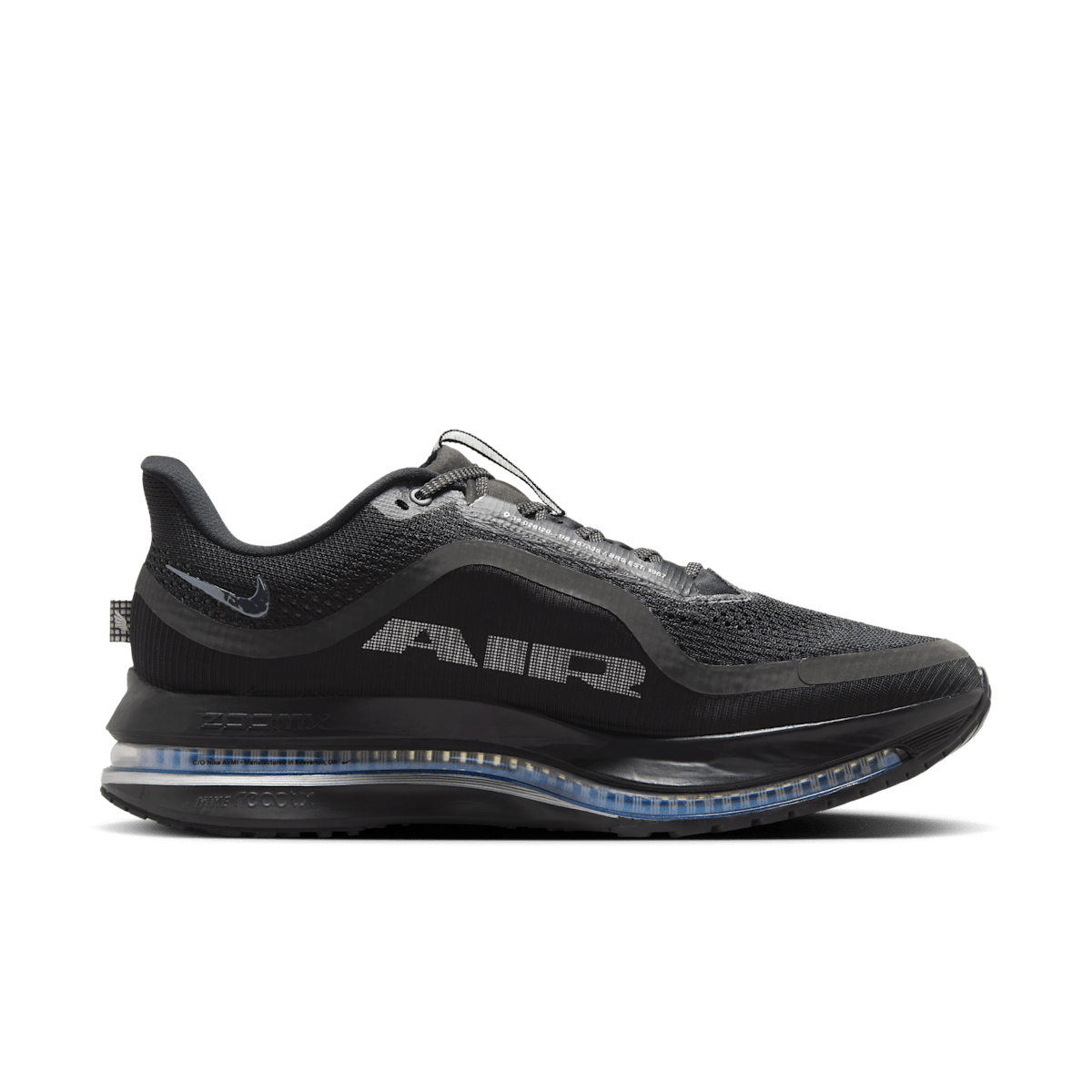 Nike Pegasus Premium Black Metallic Silver